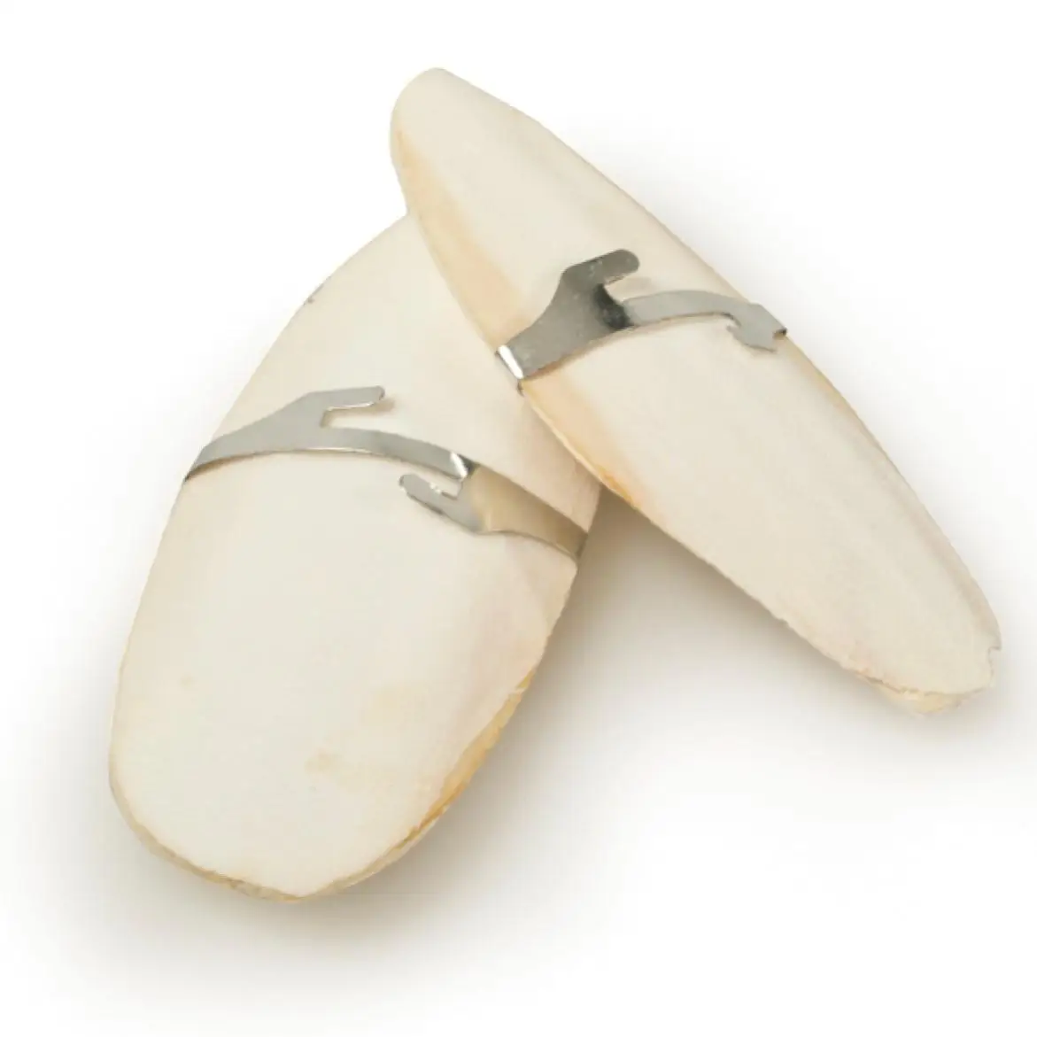 Cuttlefish Bone Top Grade