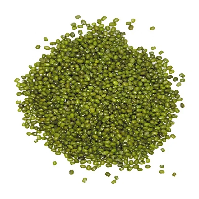 2021 WHOLESALE GOOD QUALITY ETHIOPIANB BUIK SPROUTING GREEN MUNG BEANS