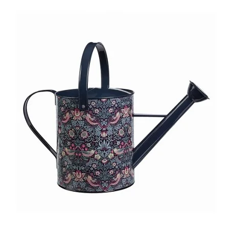 Printed Design Galvanized Black Color Water Can For Garden Use Indoor And Outdoor Plants Watering Can In Bulk