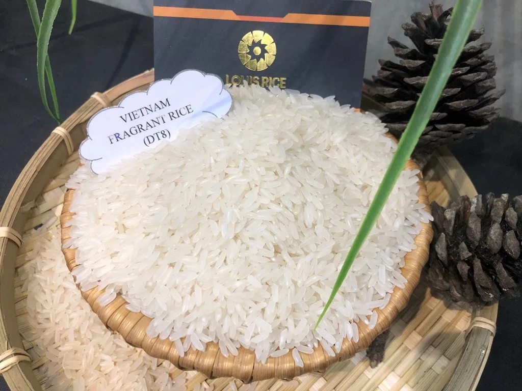 Высококачественный вьетнамский ароматный рис 5% сломанный (DT8)
