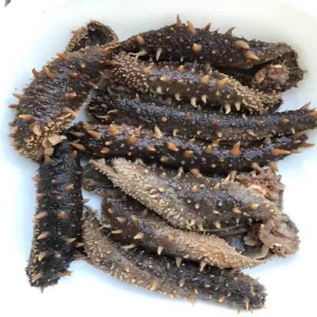 All Kind High Quality Sea Cucumber / Sea Cucumber Extract /Sea Cucumber Powder