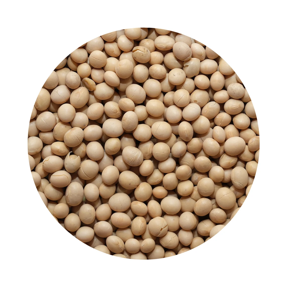 Кормовые органические желтые соевые бобы, русское происхождение оптом