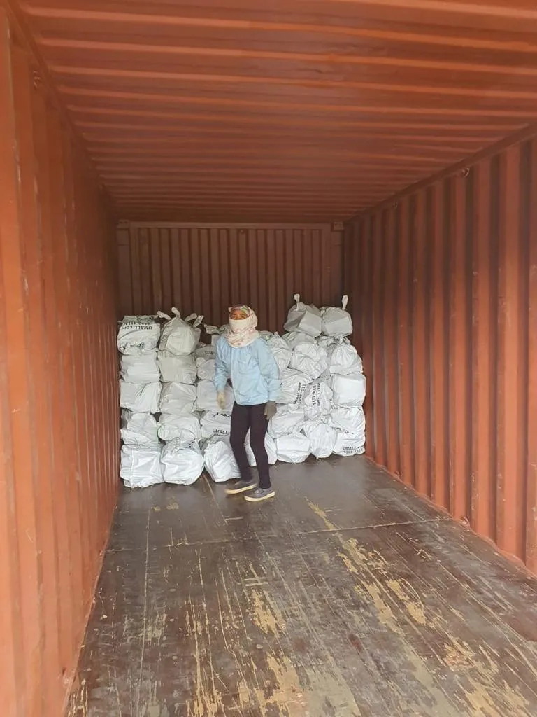 Natural ACACIA Wood Logs dried wood From Vienam firewood Kiln Dried FOR SALE WHATSAPP +84 966 523 629