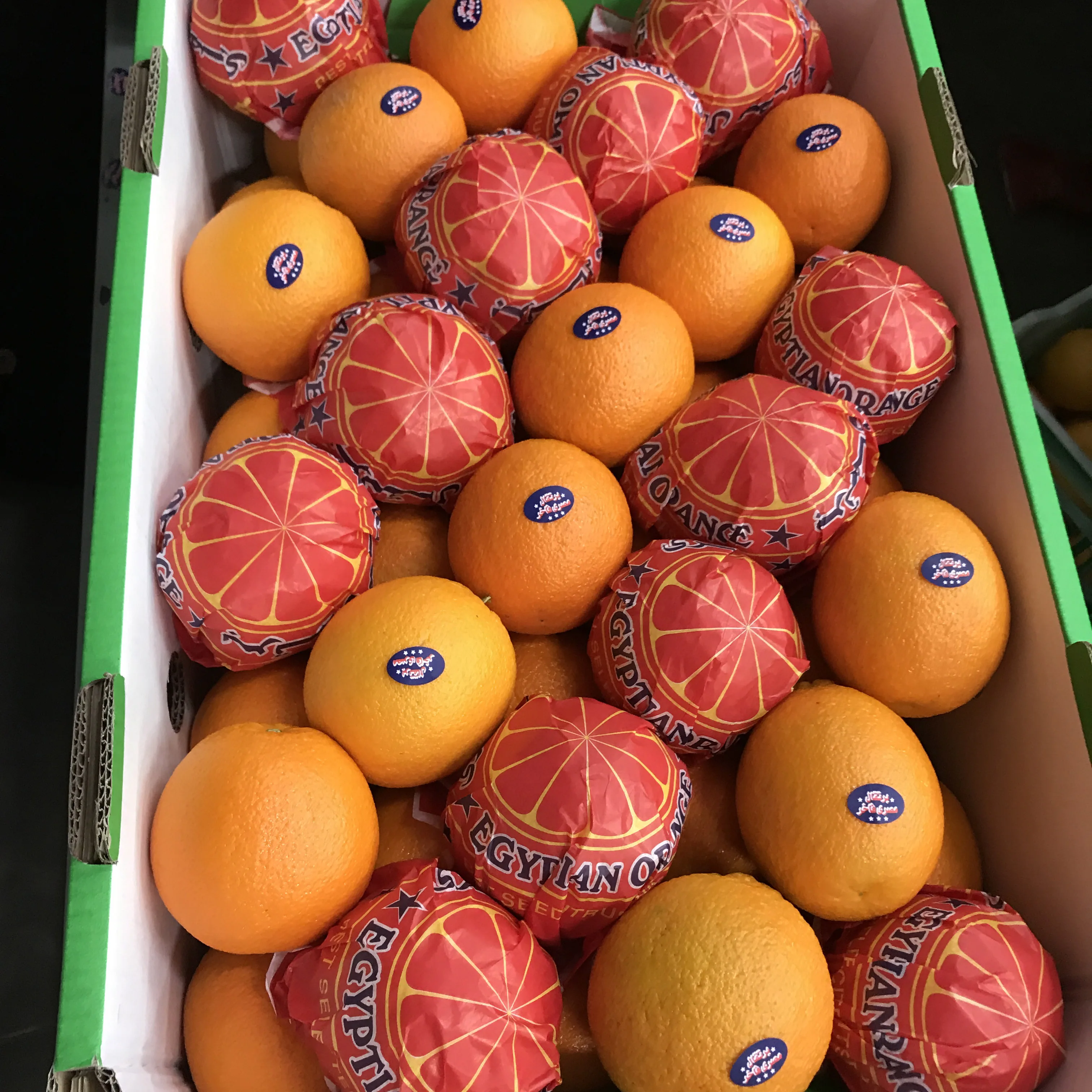 BEST QUALITY ORANGES