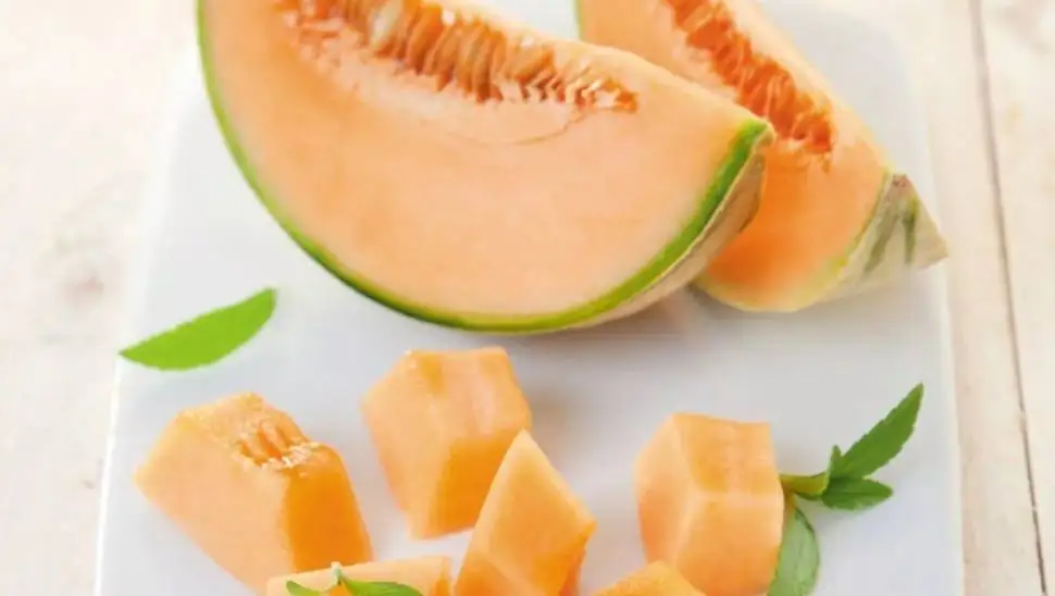 Свежий CANTALOUP Таиланд