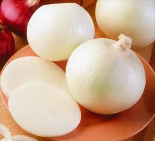 Supplying Fresh big onion red/yellow/white onion from Vietnam with top quality _Vikafoods (WhatsApp/Wechat: + 84 983 028 718)