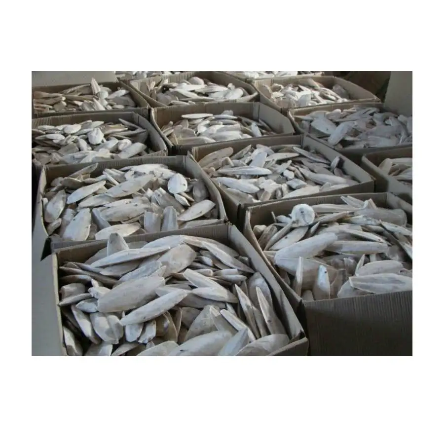 Competitive price Cuttlefish bones for animal feed from Viet Nam for Bird to EU (Lee Tran +84 987731263)