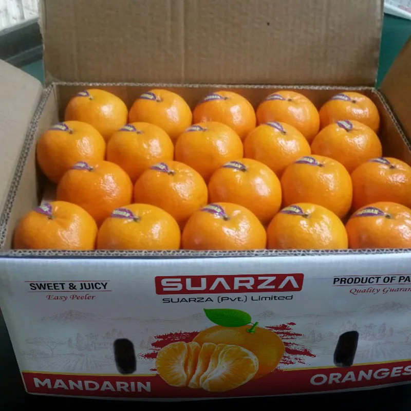 Kinnow supplier Pakistan