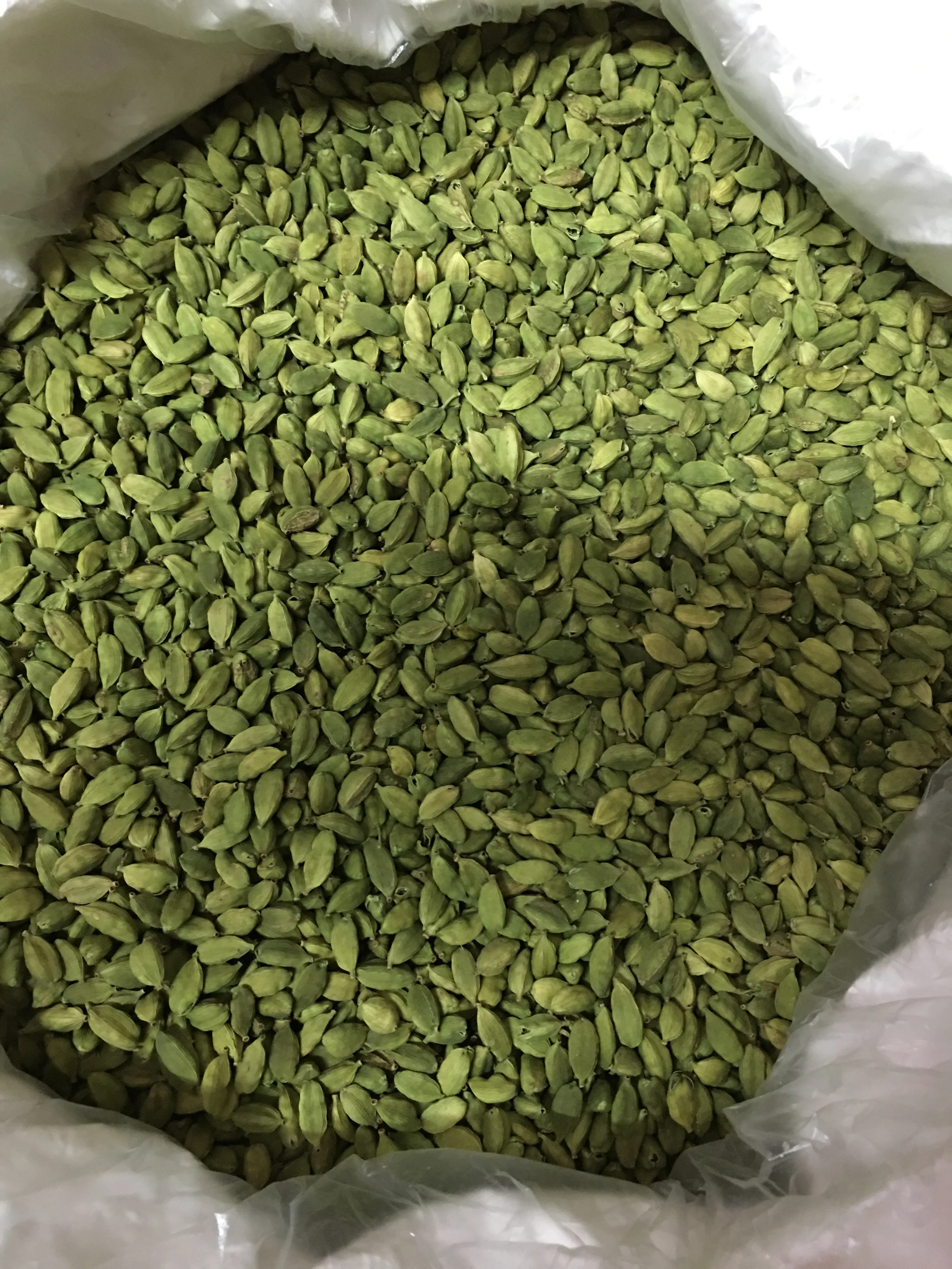 Green Cardamom 100% Indian Origin Premium Quality 7 MM Size for Germany Spices Seasonings on demand standard quality