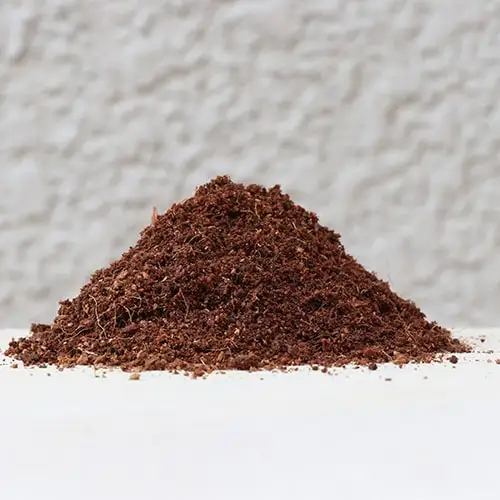 Grow Plants Cocopeat/Coco Pith Blocks 5 kg From Best Seller Vietnam