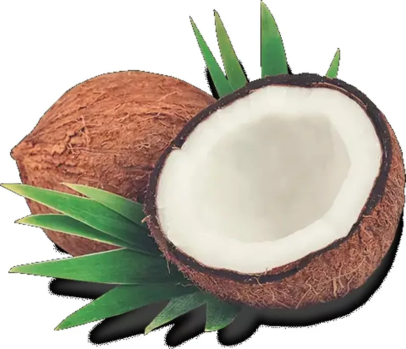 
Organic Pure Cold Pressed Coconut Oil in Private Label 