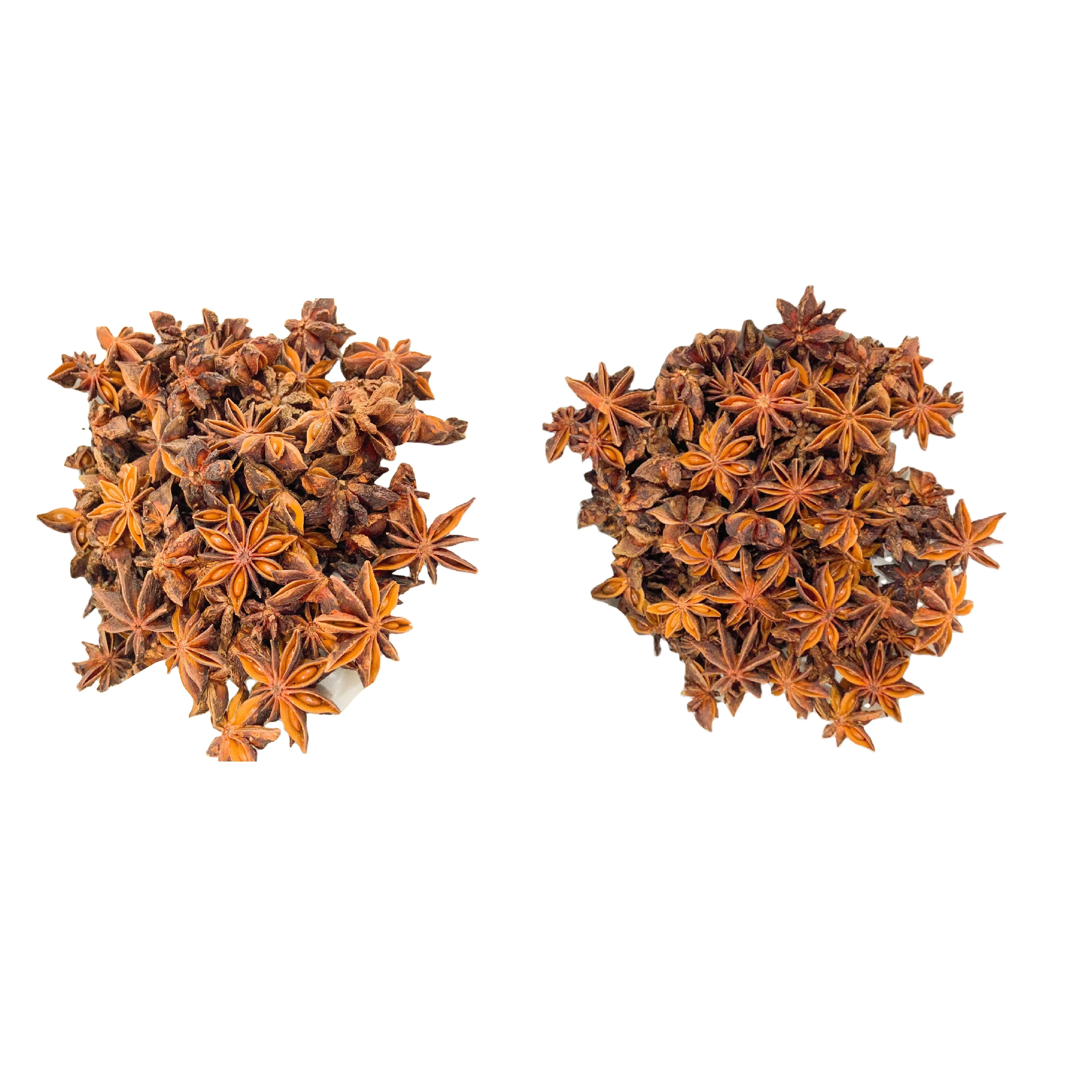 Aforex Brand From Lang Son Vietnam Star Anise With Grade AA Premium Quality Brown Dried Single Species