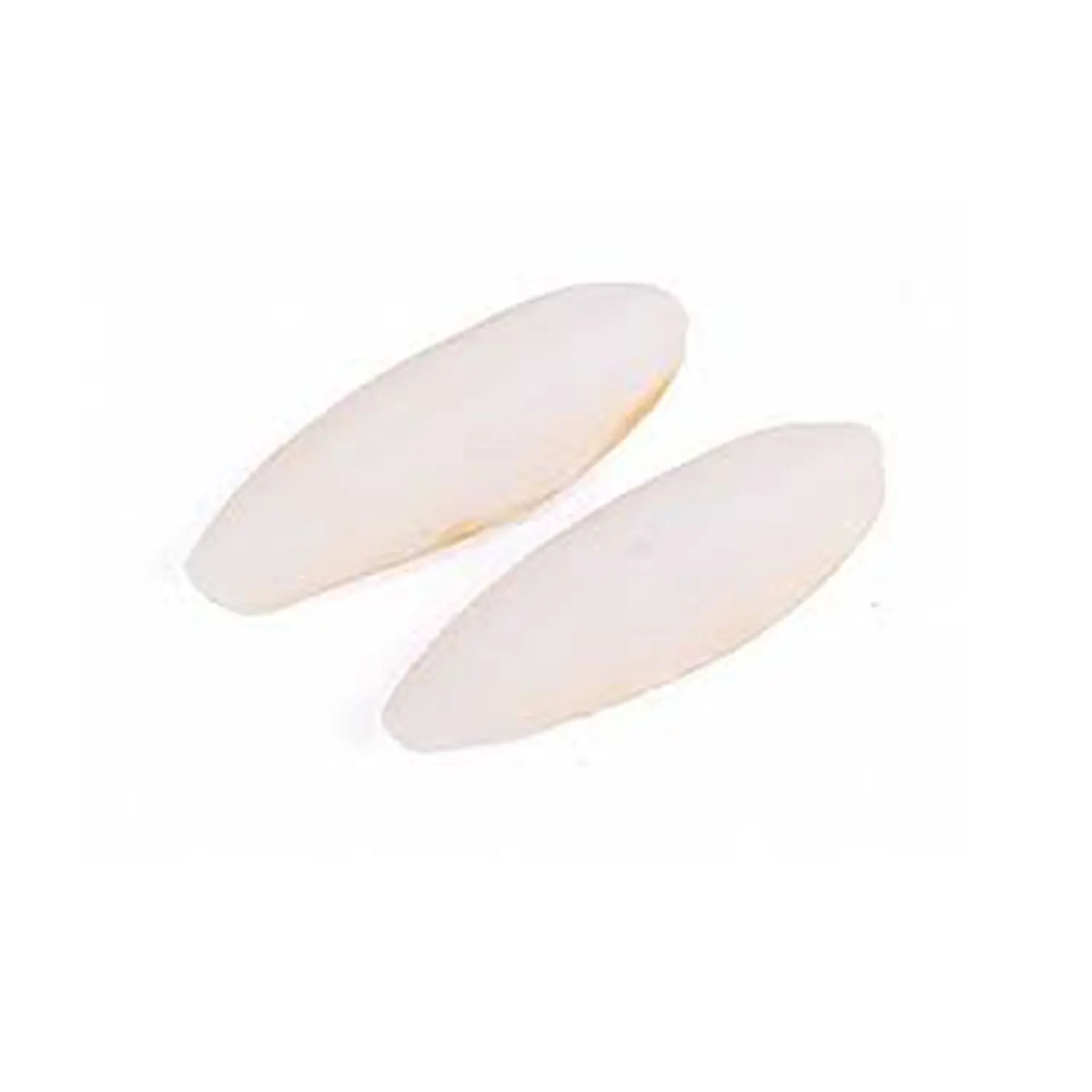 Bulk Cuttle Fish Bone- Cuttlebone Clean For Sale