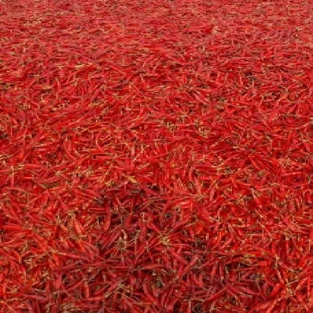 
Dry Red Chilli 