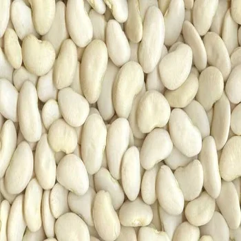 
Large white lima Beans 