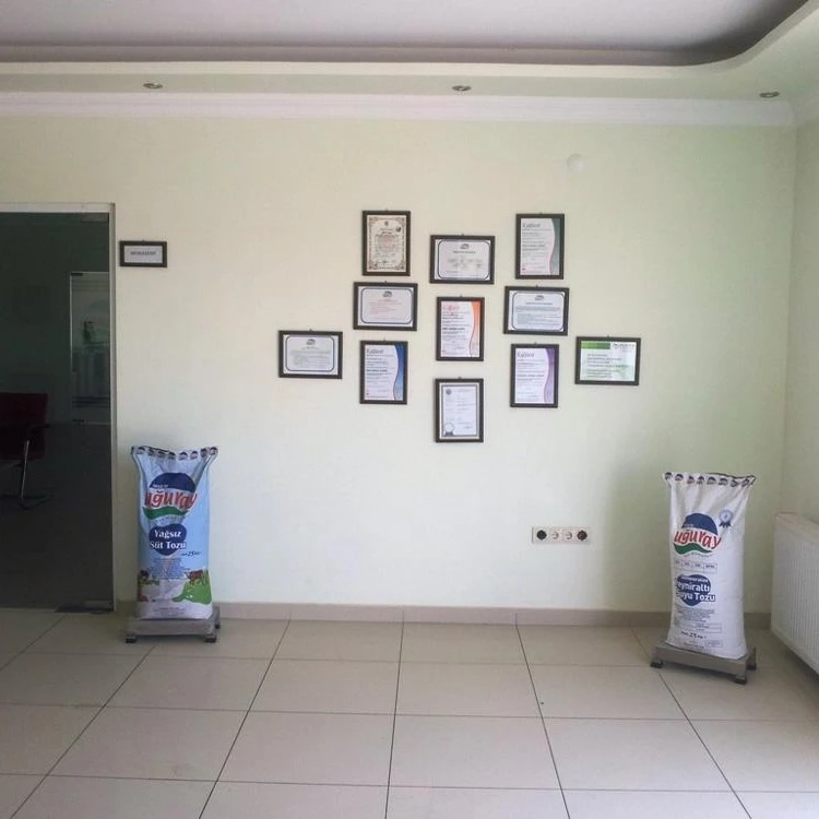 
High Protein Skimmed Milk Powder 