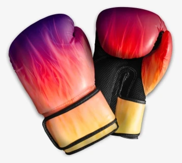 2023 Custom Design Hot Boxing Equipment Wholesale Price Pakistan Manufacturers Boxing Gloves Universal for Sale Training gloves