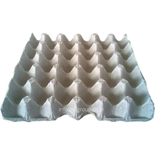 Cost Effective  in Market for Paper Pulp Molded Egg  Huevos Trays for Chick Eggs