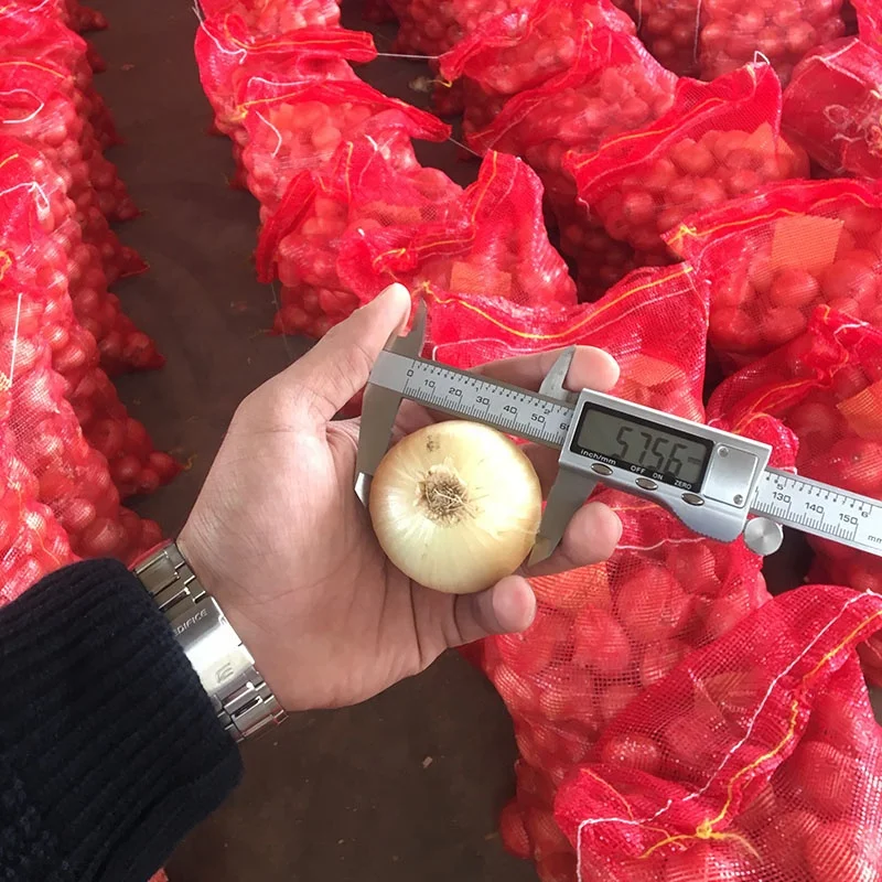 
FRESH ONIONS 