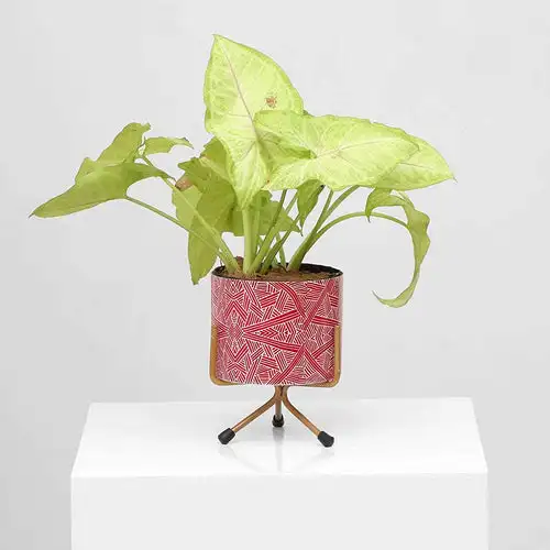 Металлический плантатор с цифровой печатью и подставкой средневековые декоративные контейнеры для цветов дома офиса комнатное или уличное растение