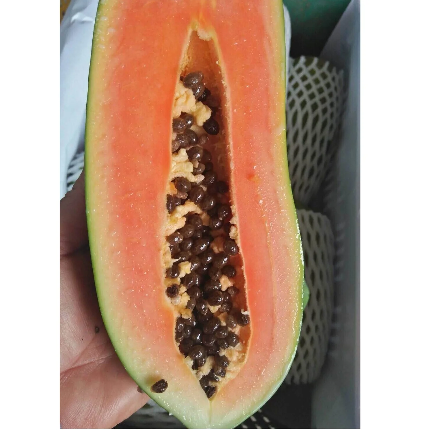 
EWC HIgh Quality 100% Natural Papaya Weight Average 1.5KG Fruit Fresh Papaya 