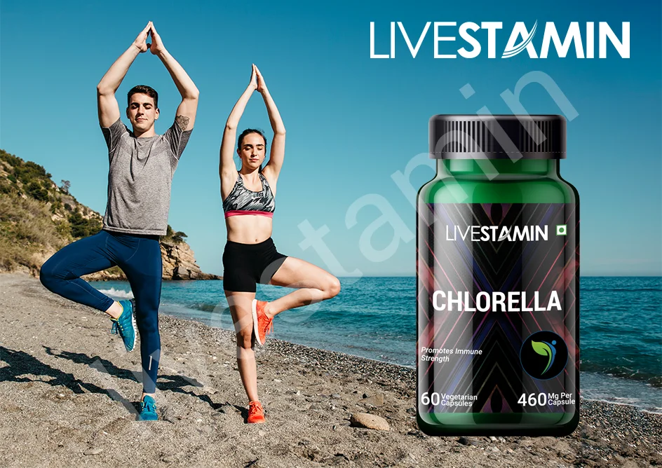 Chlorella  Extract Capsules 460mg vulgaris pyrenoidosa Chlorophyll For High cholesterol Private Label Supplement GMP ISO