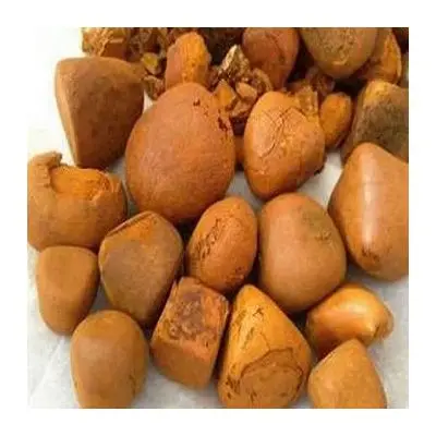 Competitive Prices Natural Pure Bovine/cow/ox Gallstones Exporter
