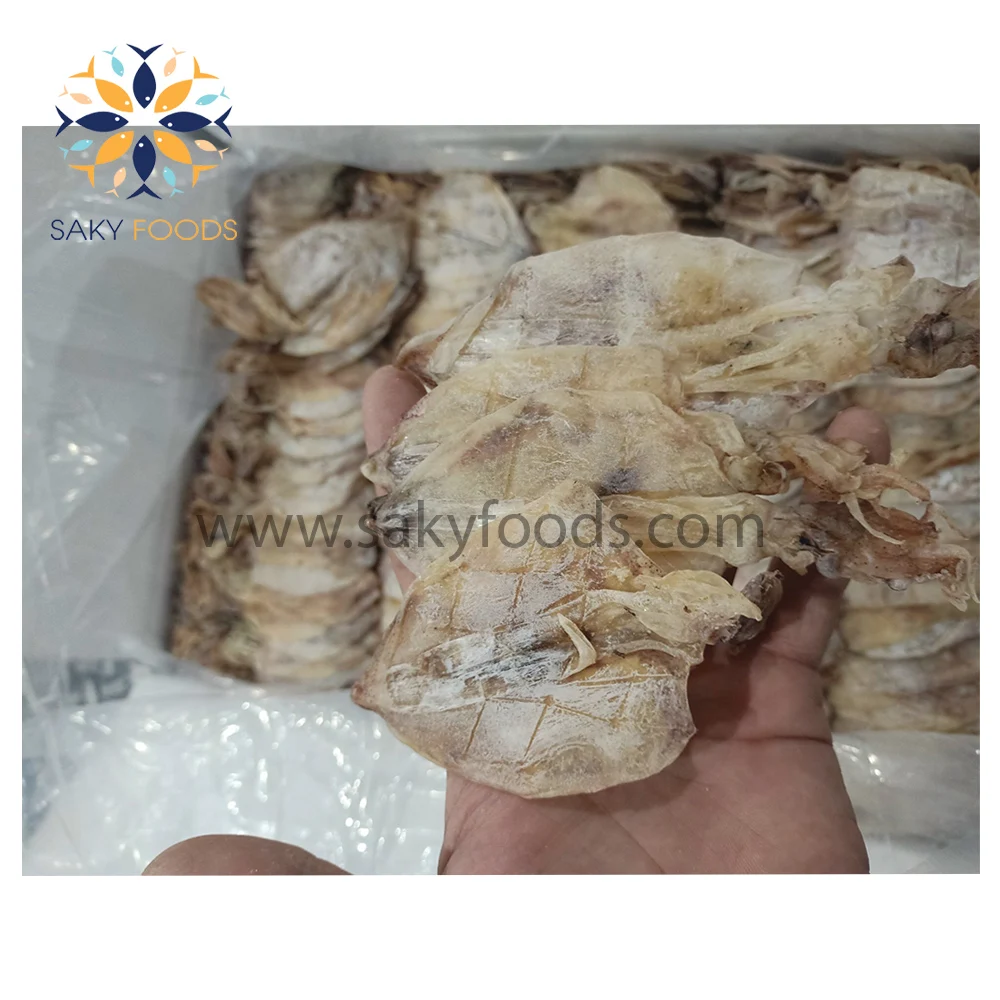 Wholesale supplier of dried squid