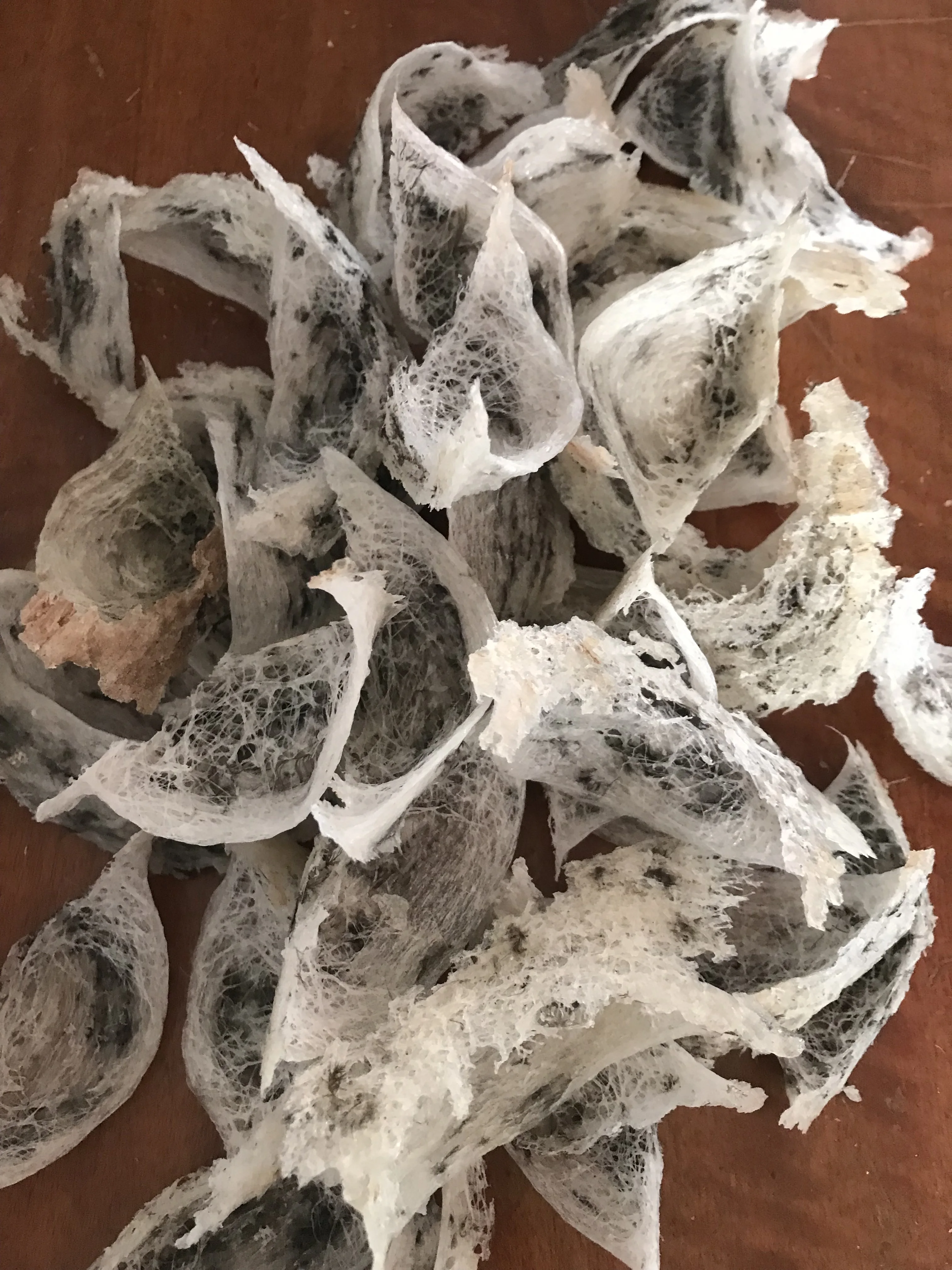 Натуральное Птичье гнездо Grede A Beauty and Personal Care с низким содержанием жира, премиум Продукт из южной Таиланда на 100% экспорт