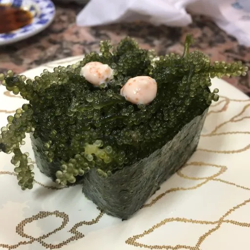  Свежий каулерпы lentillifera/LATO-Премиум LATO морской виноград/морской виноград от Вьетнам (г-жа Деми + 84 961733400)