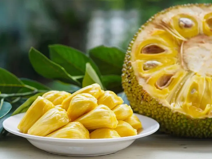 
Vietnam Fresh Jackfruit No chemichals (WS: +84904230236) 