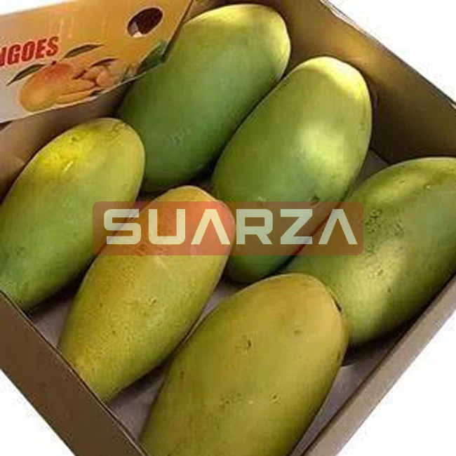 100% натуральное свежее манго кришнагири/сезонное лучшее разнообразие поставляется из Пакистана в Дубай