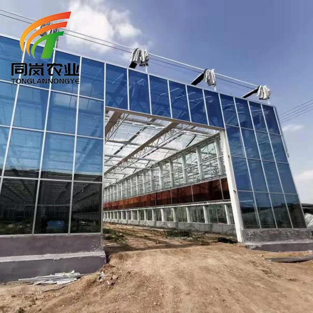 Venlo Agriculture Tempered Glass Greenhouse For Vegetable Growth- Cucumbers And Tomatoes