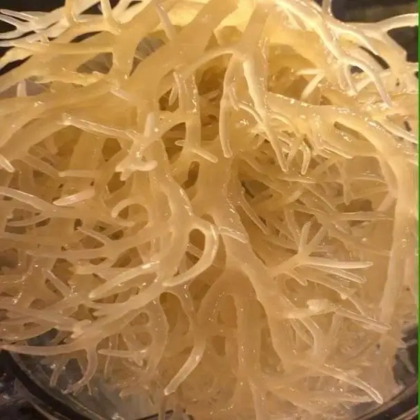 Best Selling Vietnamese New Crop Dried Vegetable Flakes Seamoss Wholesale Dried Seamoss/Katty