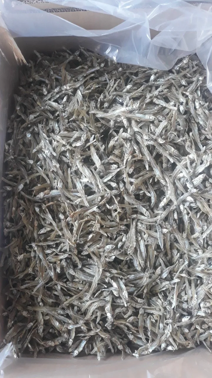 Best quality Dried anchovy by sunshine from Vietnam High nutritive dry anchovy fish/ dried anchovy
