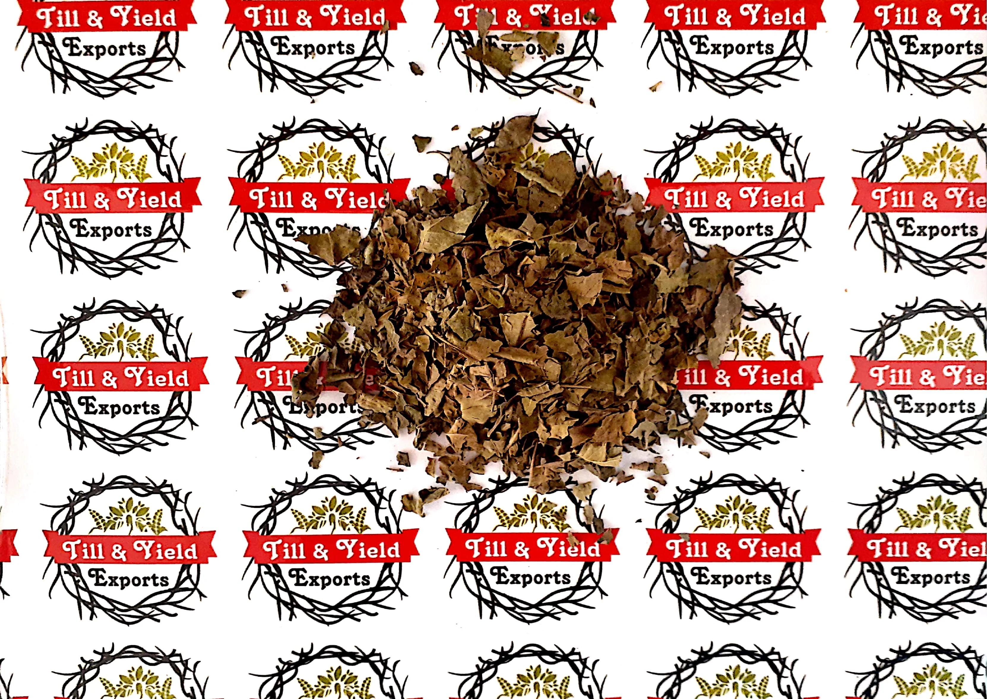 Premium Indian Origin Herbs Gymnema sylvestre - Gudmar - Gudmar Tbc Tea cut size 0.5-4mm high Quality Tea