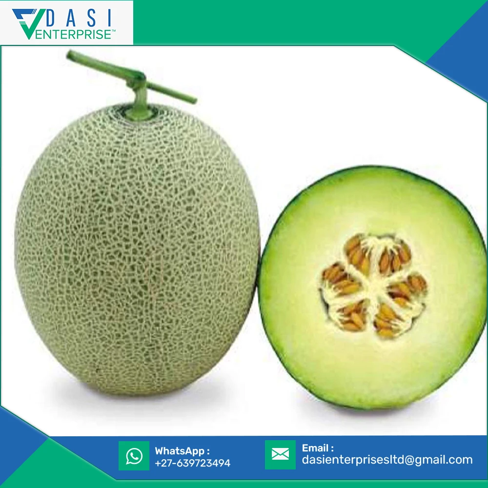 Globally Own Logo Good Fragrance Fresh Natural Grown Muskmelon In Large Stock At Reasonable Price
