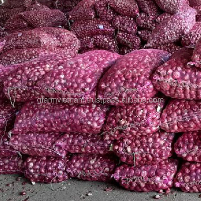 
Fresh onion with high quality VietGAP GlobalGAP 