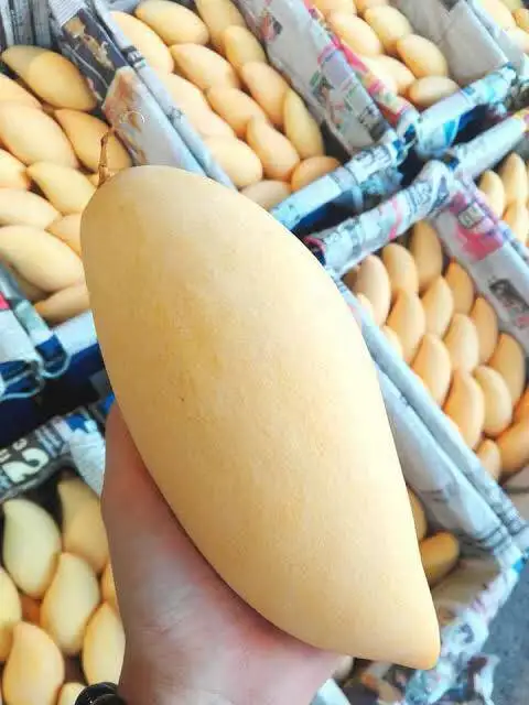 
Best seller Fresh Mango Premium grade from Thailand By SP Organic International 