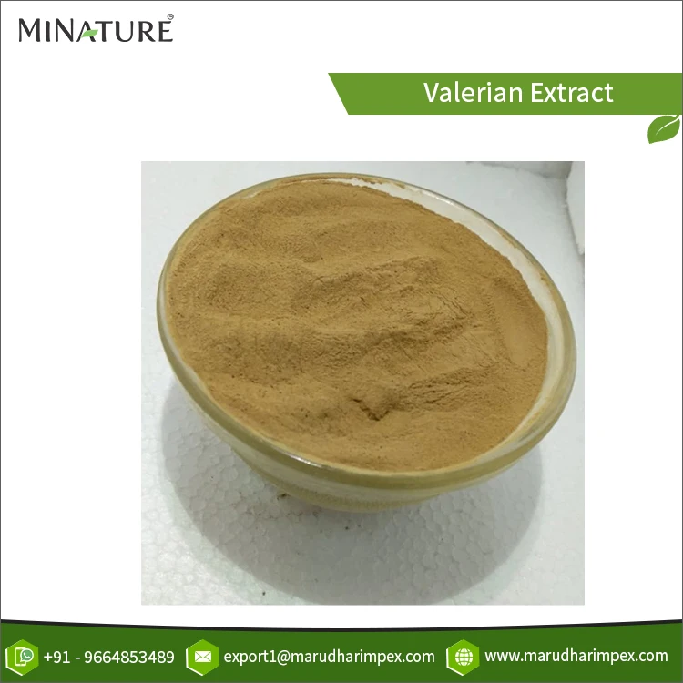 Indian Exporter Widely Selling Root Extract Valerian Herbal Powder for World Wide Buyers at Best Competitive Price