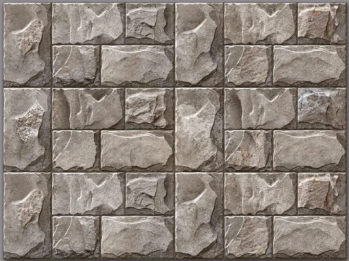 
High Depth Matte finish Elevation tile 600 x 300 mm for Outdoor Exterior Purpose wall tiles Outdoor Indoor tiles 