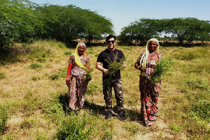henna farm 14