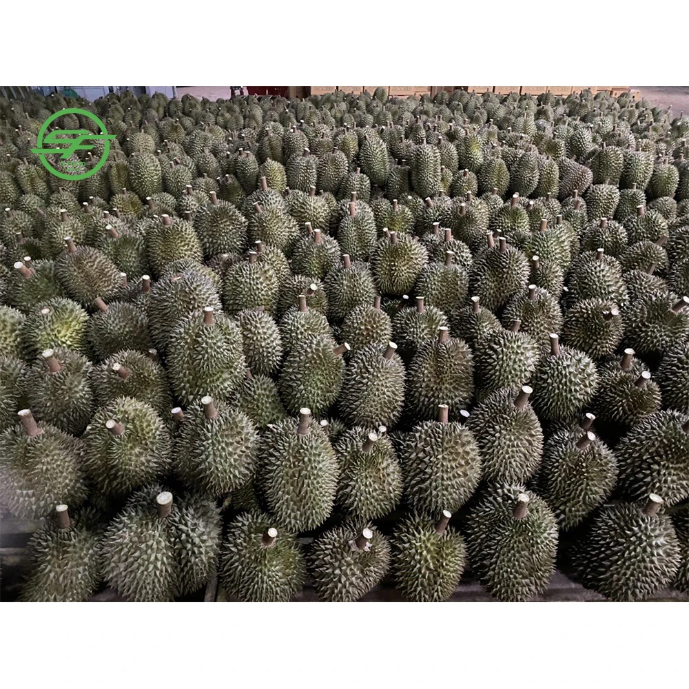Fresh Durian Vietnam Product Most Delicious Durian (Whatsapp/zalo/wechat: +84 912 964 858)