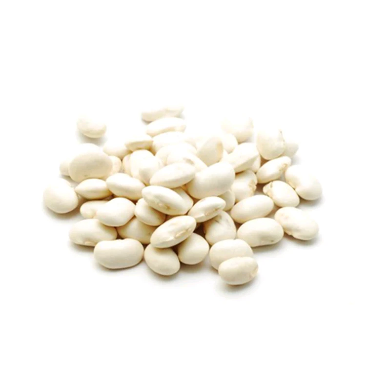 
Premium Quality Bulk Machine Cleaned Dried White Kidney Beans at Best Price 
