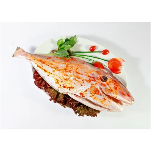 Frozen Leather Jacket Fish With High Quality and Competitive Price from Asia-Wholesale & Retail Whole or Processed on request