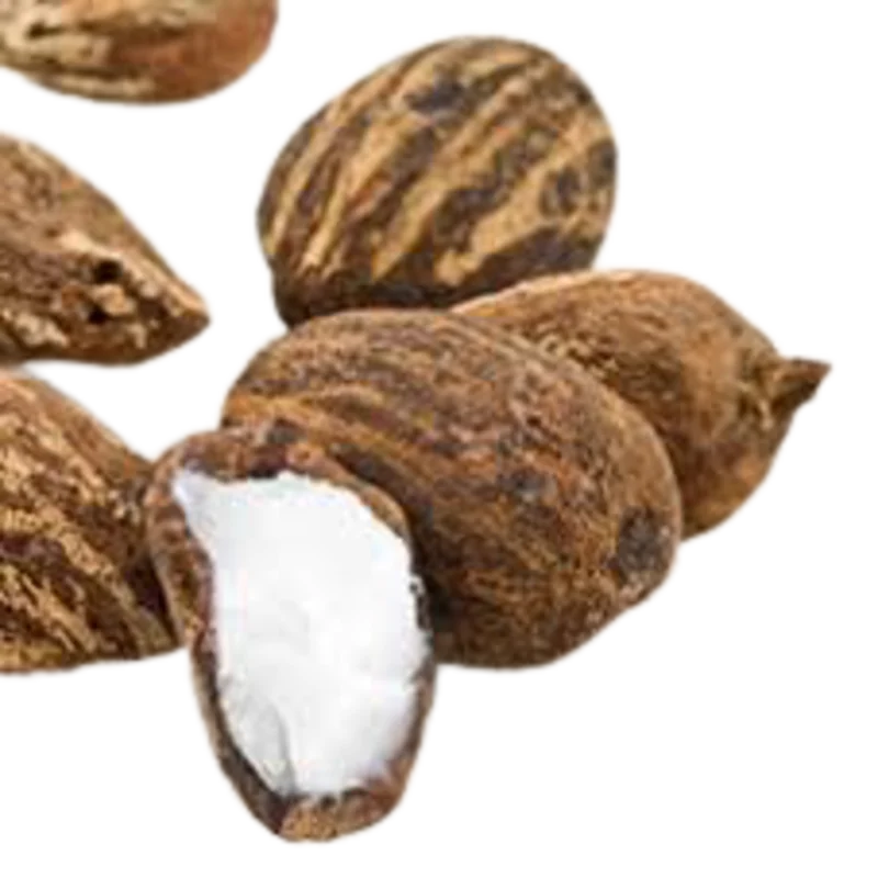 Shea Nuts High Quality Palm Kernel Shell, Garcinia Kola Top Quality Best Grade West African Countries Quality Dry Raw