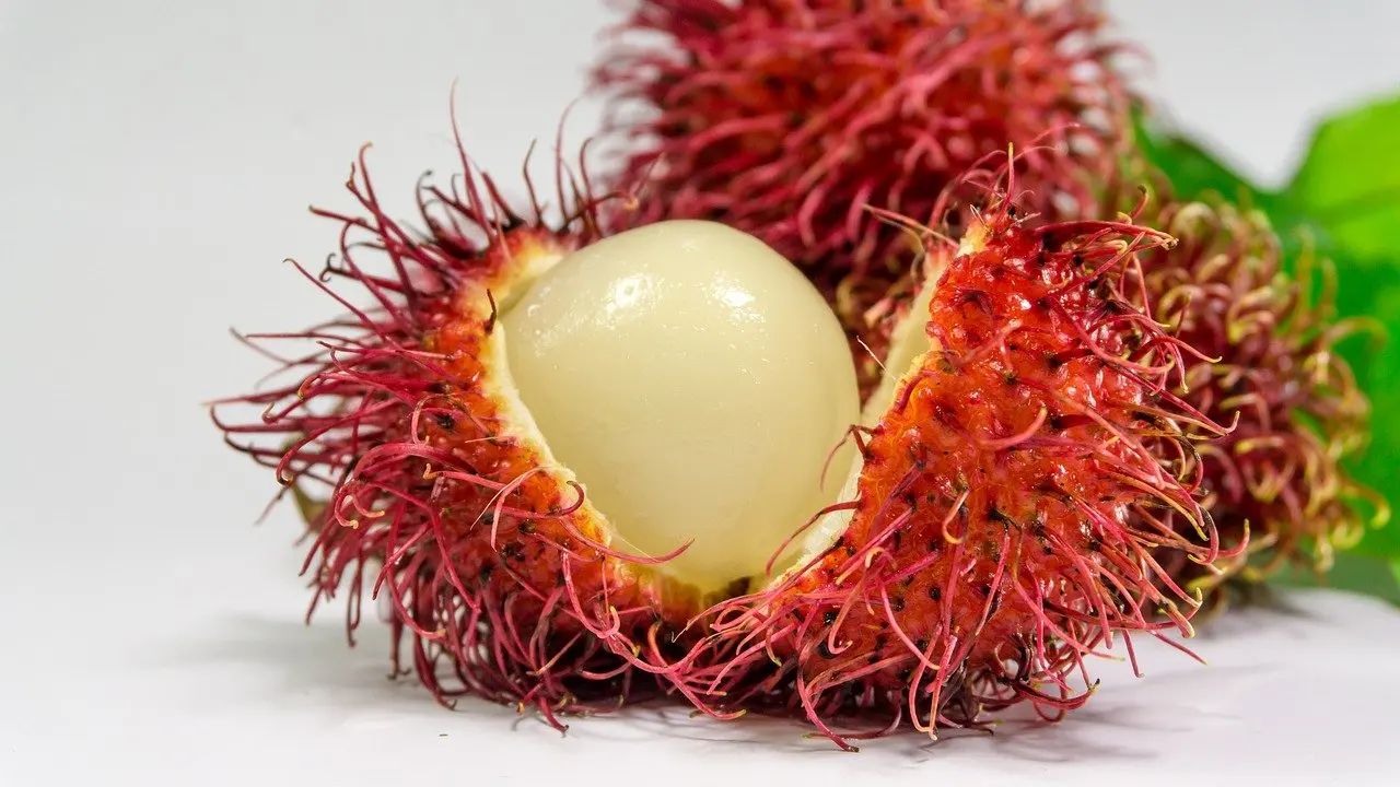 Hot Selling In 2021 Rambutan 100% Fresh Fruit Best Price Wholesale Cheap Price