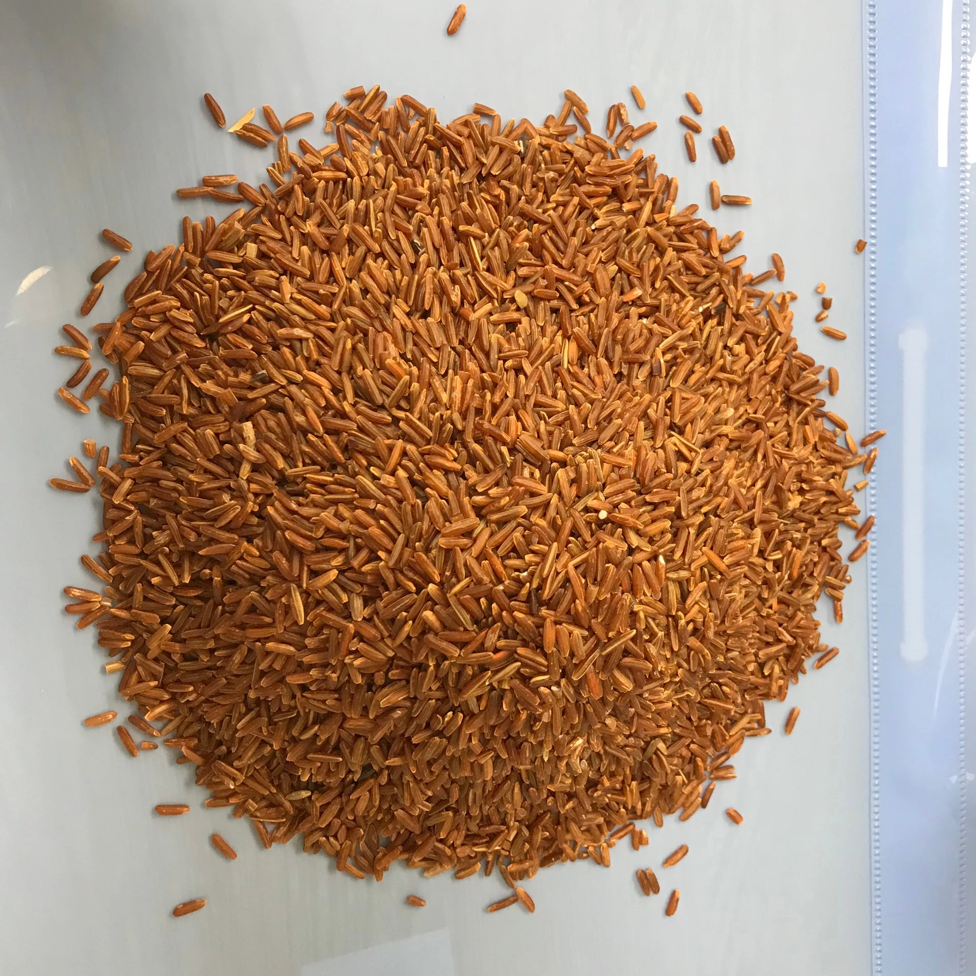 Top Quality New Product Export Large Quantity Five Percent Broken No Admixture Long Grain Red Vietnam Rice