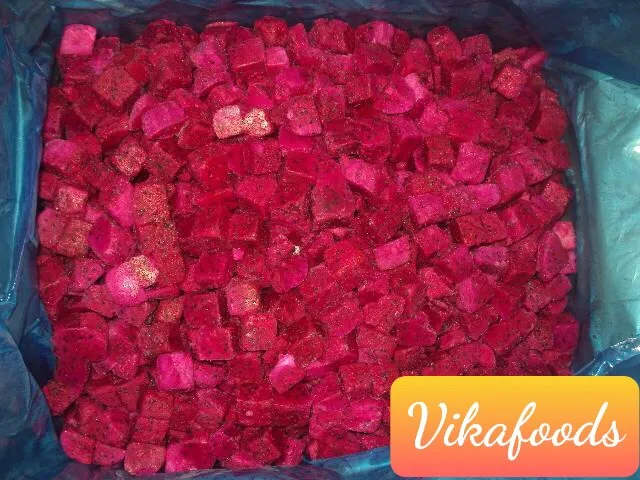 
Vietnam fresh dragon fruit red/white flesh with top quality _Vikafoods (+84983028718) 