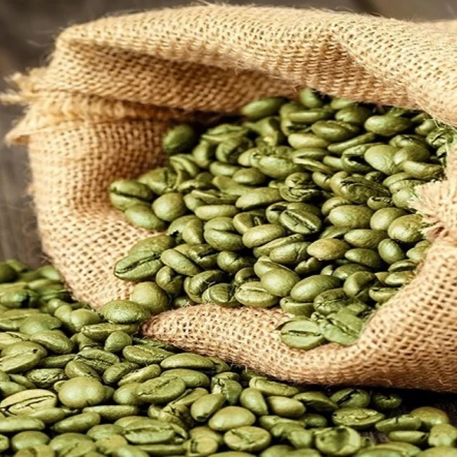 Raw Arabica coffee beans, Vietnamese origin